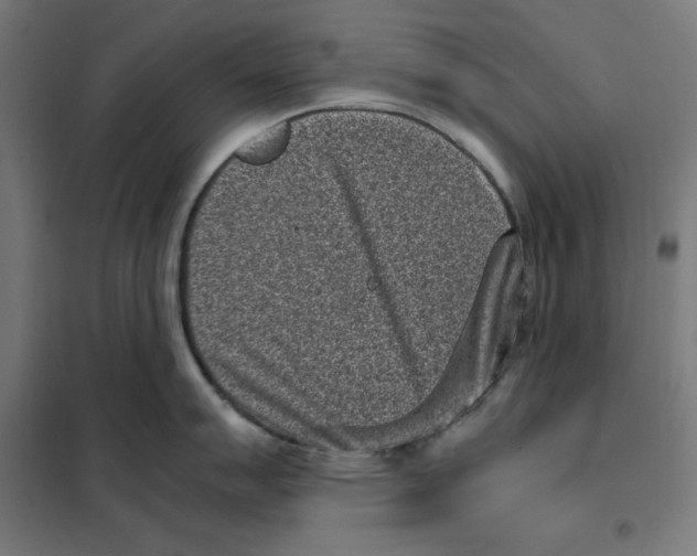 X0000101191007200807250958