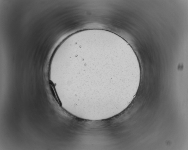 X0000101191008200807250958