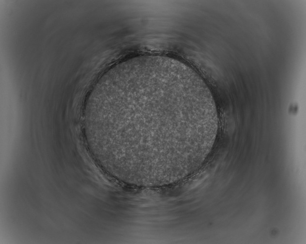 X0000101191009200807250957