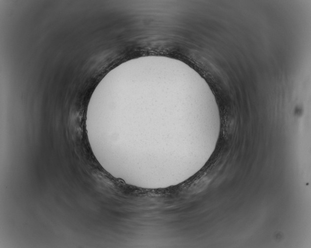 X0000101191010200807250957