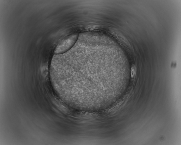 X0000101191011200807250957