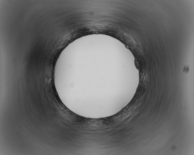 X0000101191012200807250957