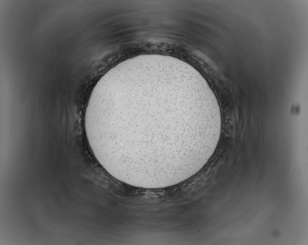 X0000101191013200807250957