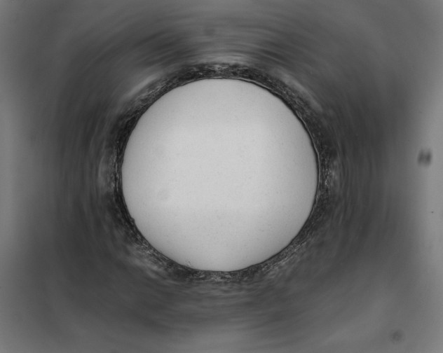 X0000101191014200807250957