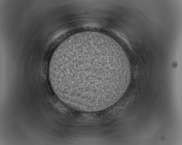 X0000101191015200807250957