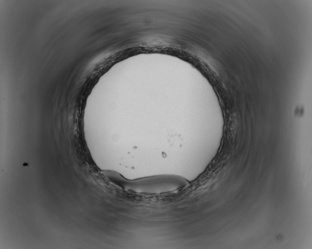 X0000101191016200807250957