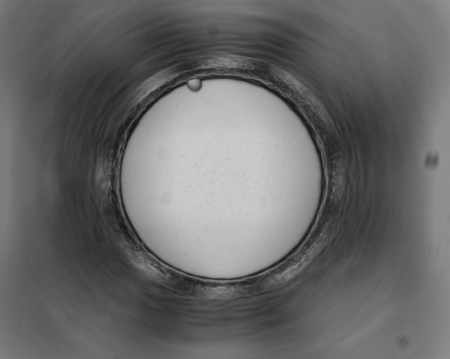 X0000101191017200807250957