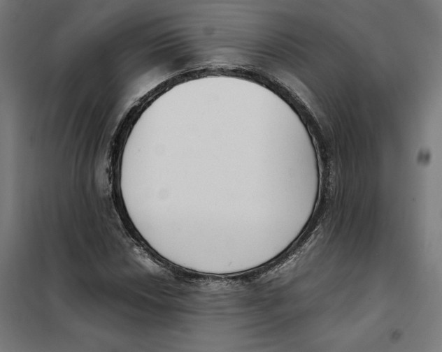 X0000101191018200807250957