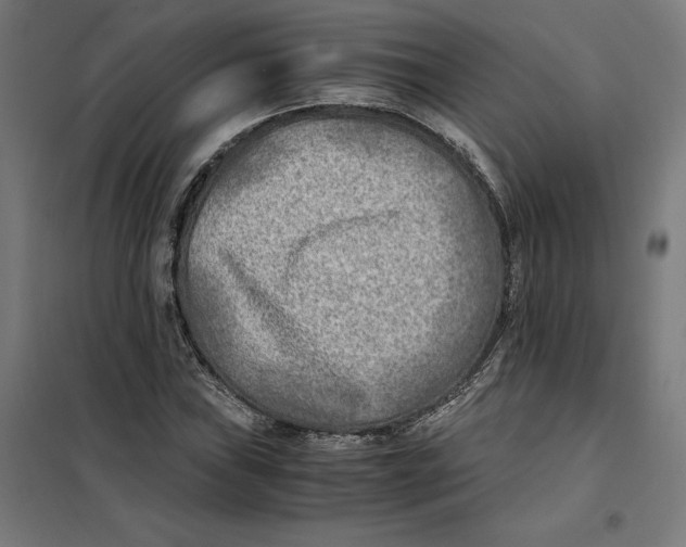 X0000101191019200807250957
