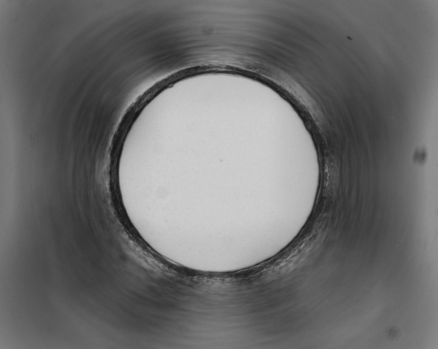 X0000101191020200807250958