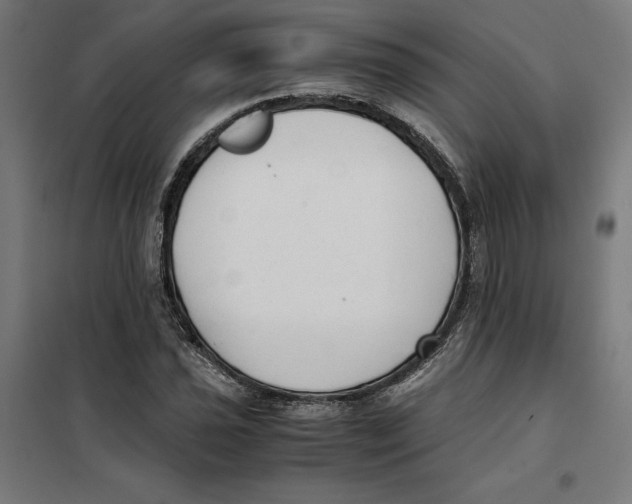 X0000101191021200807250958