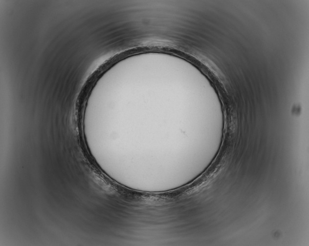X0000101191022200807250958