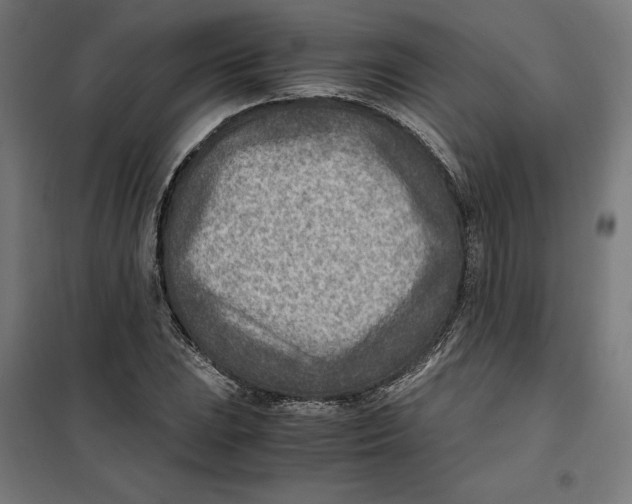 X0000101191023200807250958