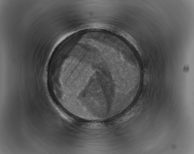 X0000101191024200807250958