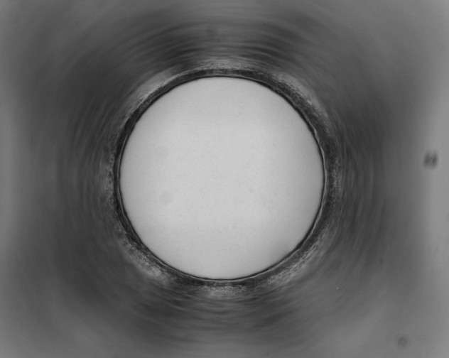 X0000101191025200807250958