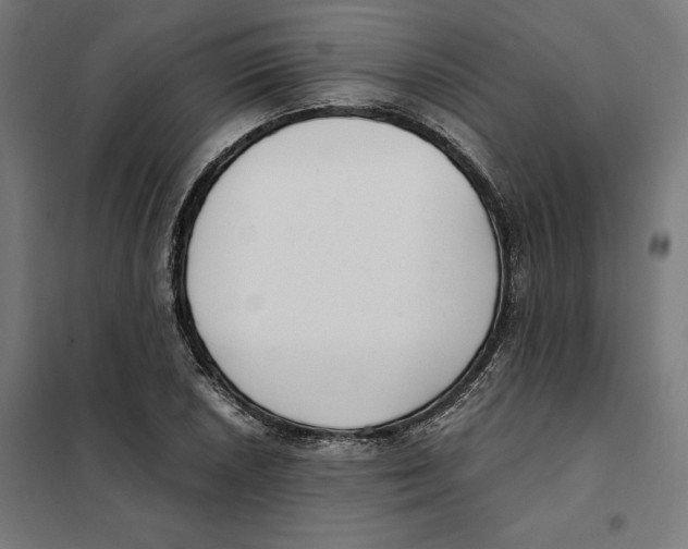 X0000101191026200807250958