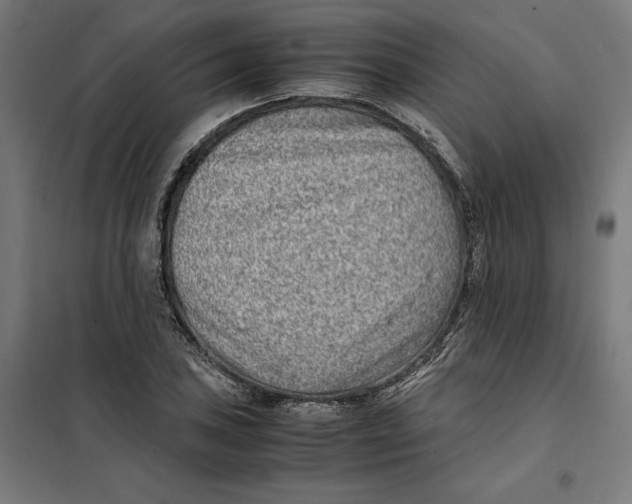 X0000101191027200807250958