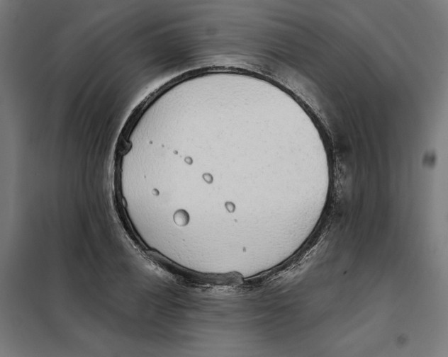 X0000101191028200807250958