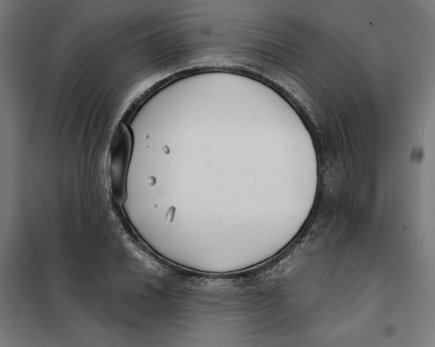 X0000101191030200807250958