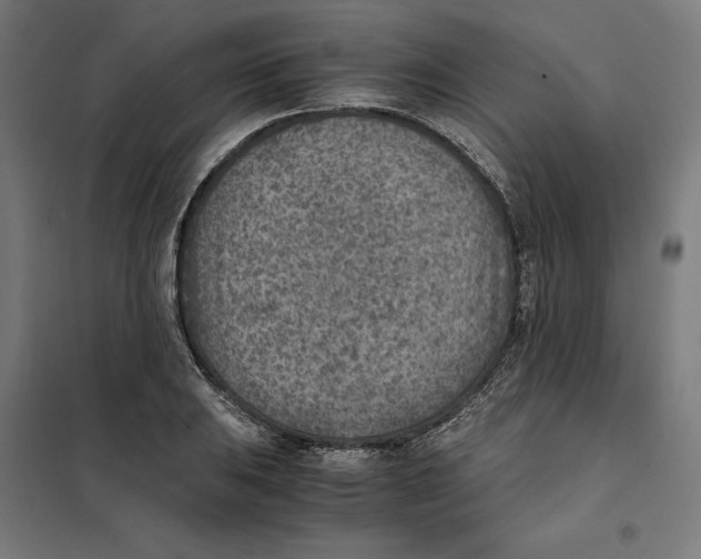 X0000101191031200807250958