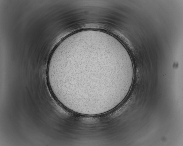 X0000101191033200807250958