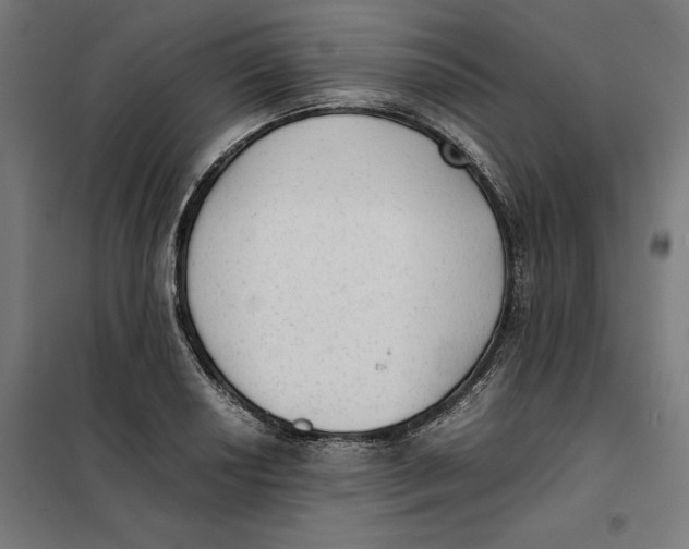 X0000101191034200807250958