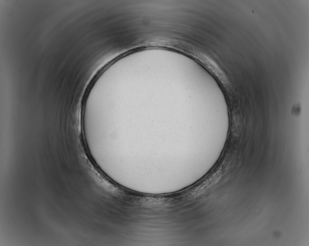 X0000101191036200807250958