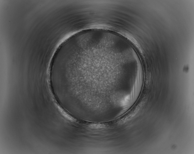 X0000101191037200807250958