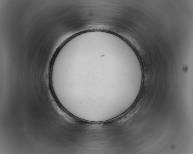 X0000101191038200807250958