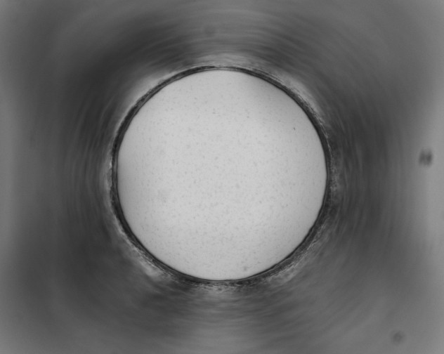 X0000101191040200807250958