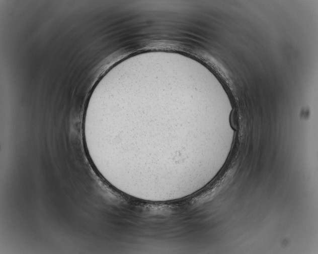 X0000101191041200807250958