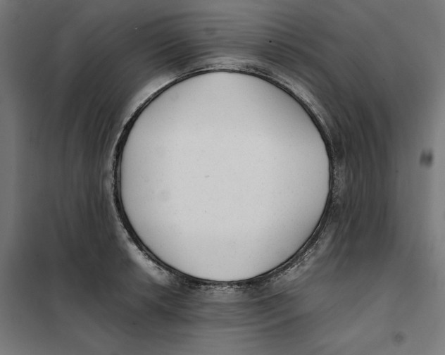 X0000101191042200807250958