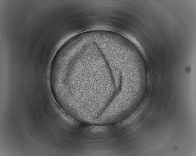 X0000101191043200807250958