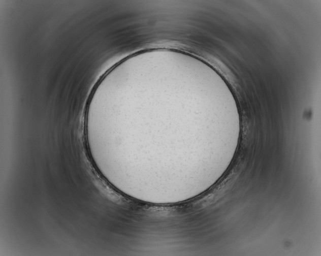 X0000101191044200807250958
