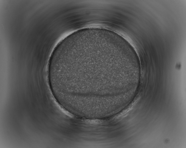 X0000101191045200807250958