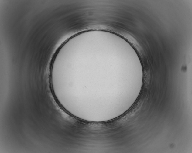 X0000101191046200807250958