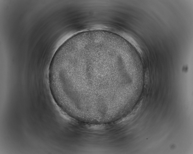 X0000101191047200807250958