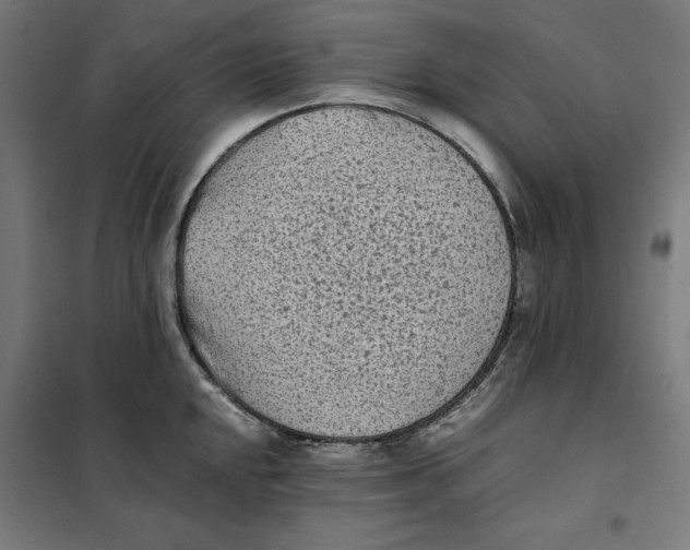 X0000101191048200807250958