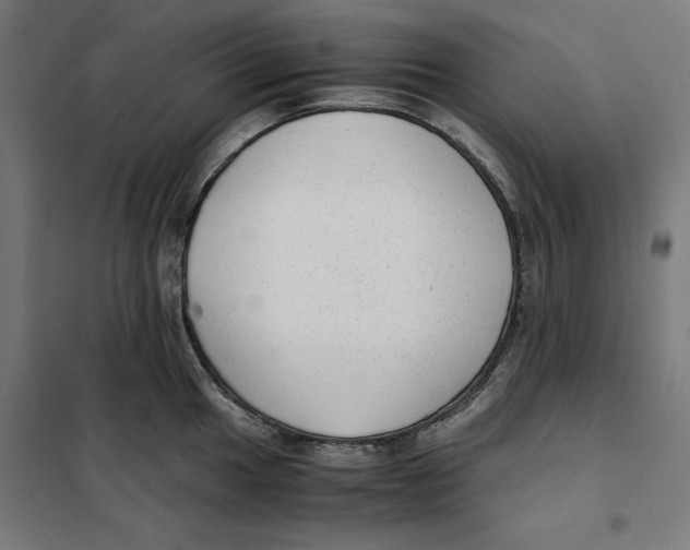 X0000101191049200807250958