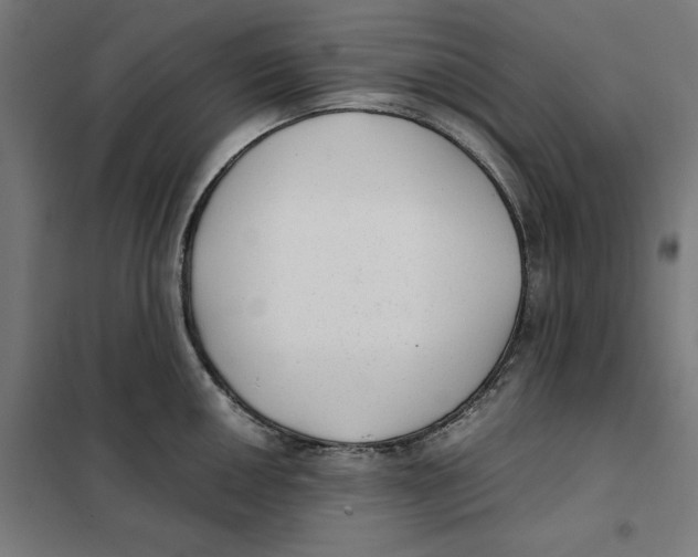 X0000101191050200807250958
