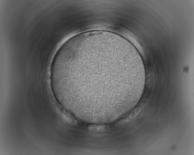 X0000101191051200807250958