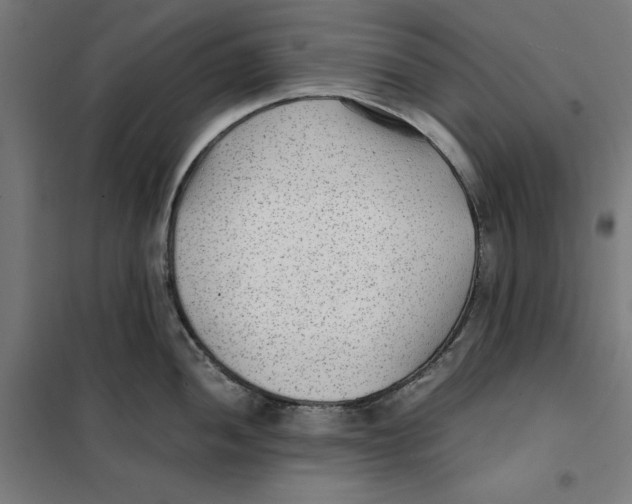 X0000101191052200807250958