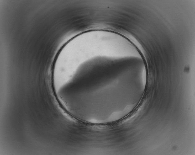 X0000101191053200807250958