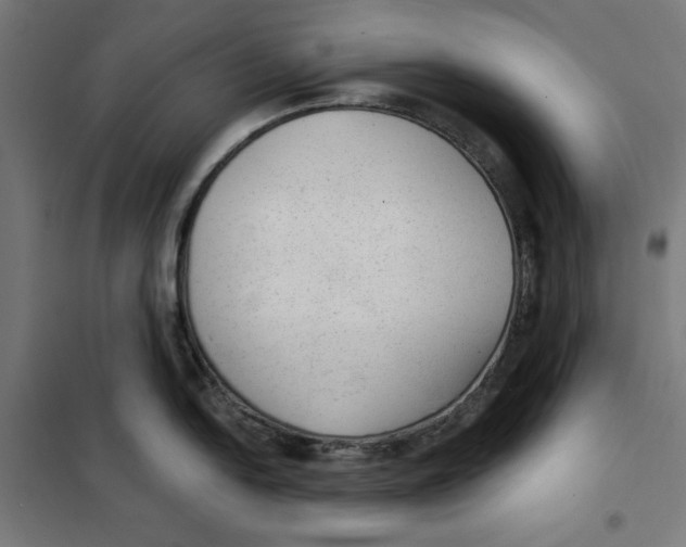 X0000101191054200807250958