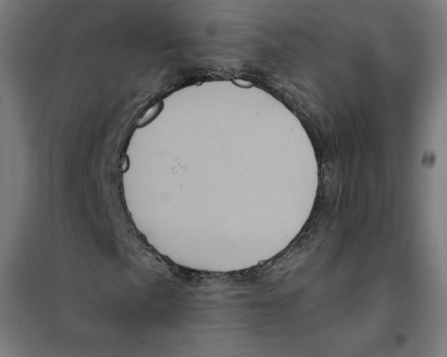 X0000101191057200807250957