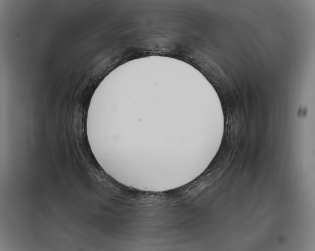 X0000101191058200807250957