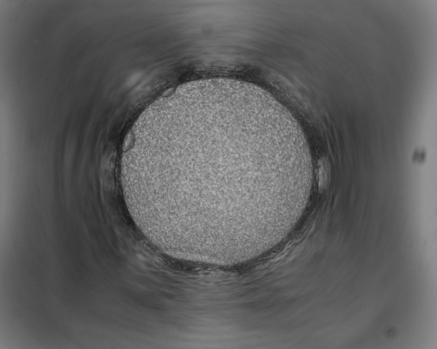X0000101191059200807250957