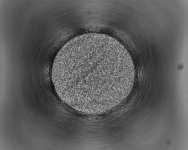 X0000101191060200807250957