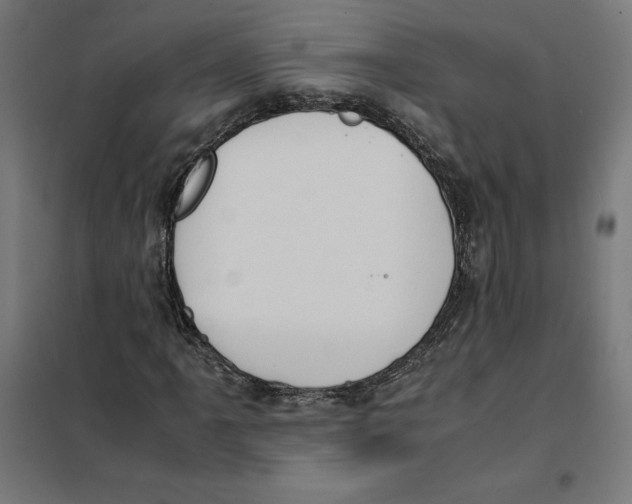 X0000101191061200807250957
