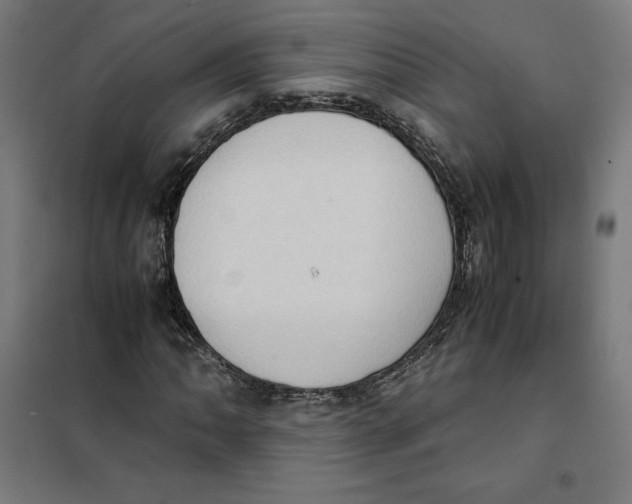 X0000101191062200807250957